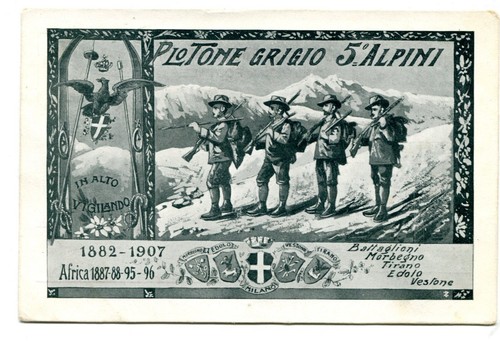 Alpini plotone grigio - 5°,