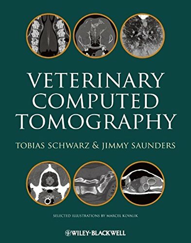 Veterinary computed - veterinary,