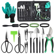 Kit bonsai per - , albero