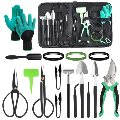 Kit bonsai per albero bonsai