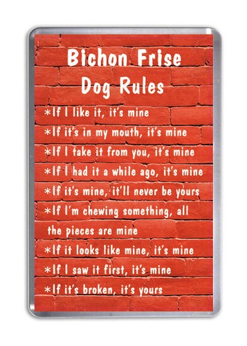 Bichon frise dog rules funny - bichon,