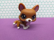 Autentico Littlest Pet Shop