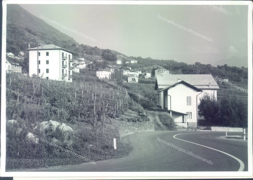 D443 bozza fotografica - bozza,
