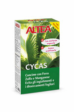 Altea cycas concime - cycas,
