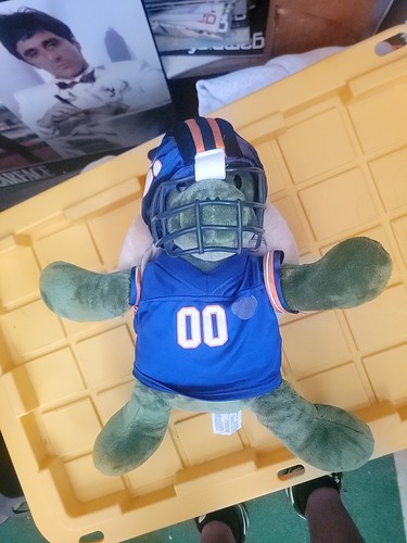 Tartaruga build bear in - tartaruga,