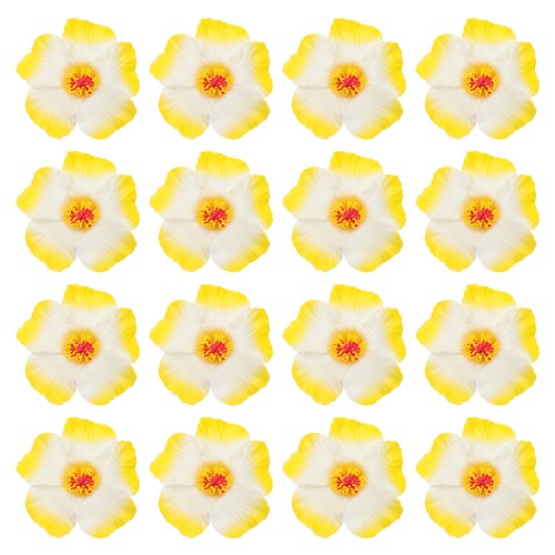 Hawaiian hibiscus flowers - hawaiian,