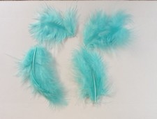 12 confezioni da 15 piume