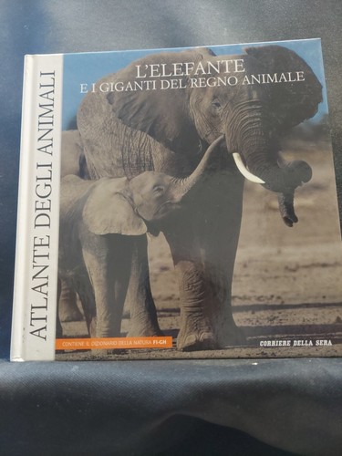 Elefante giganti del regno - elefante, e