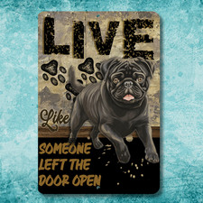 Carlino Live Like Someone