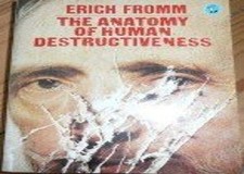 The Anatomy of Human