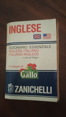 Dizionario essenziale inglese - dizionario,