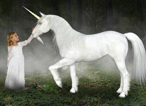 Foto murale parete unicorno - foto, parete-unicorno