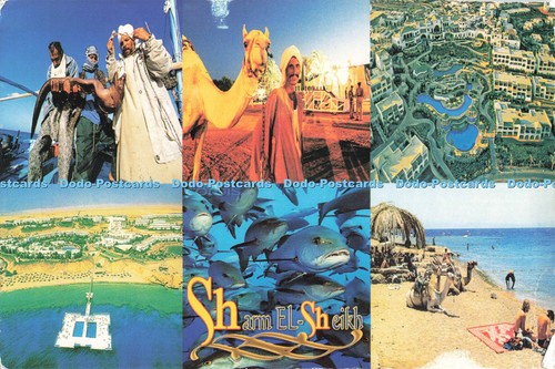 D242073 sharm sheik egypt - el,