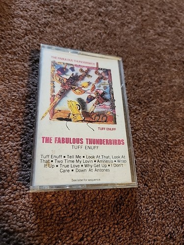 The fabulous thunderbirds - fabulous, thunderbirds-