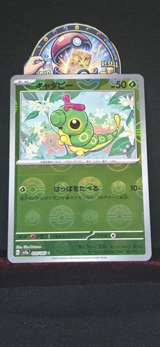 Pokemon caterpie master ball - pokemon,