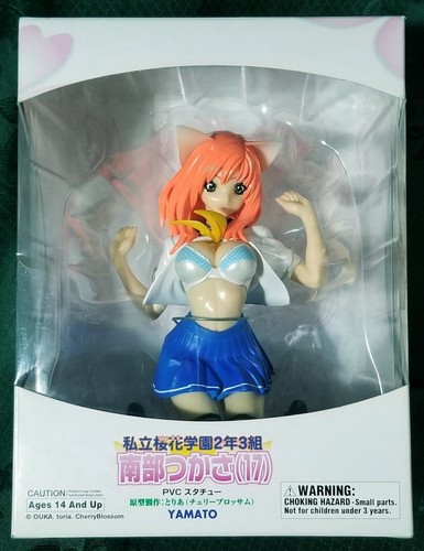 Yamato nanbu tsukasa - tsukasa, extra