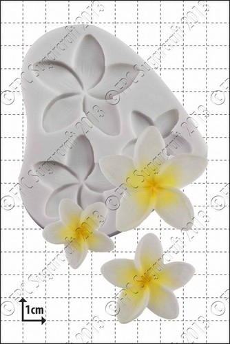 Stampo silicone frangipani - stampo,