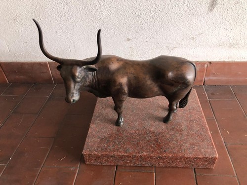 Scultura bronzo toro con - in,