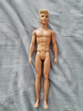 Barbie Ken Fashionistas