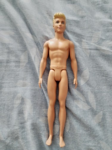 Barbie ken fashionistas - barbie,