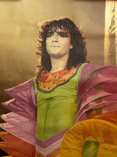 Poster renato zero tour - poster,