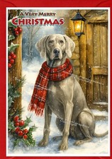 Biglietto di Natale Weimaraner