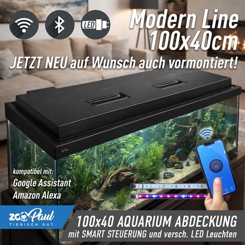 Zoopaul modern line - zoopaul, "modern