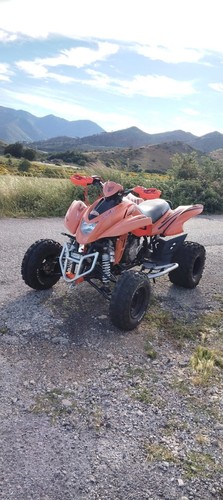 Ricambi quad dinli 450(901)