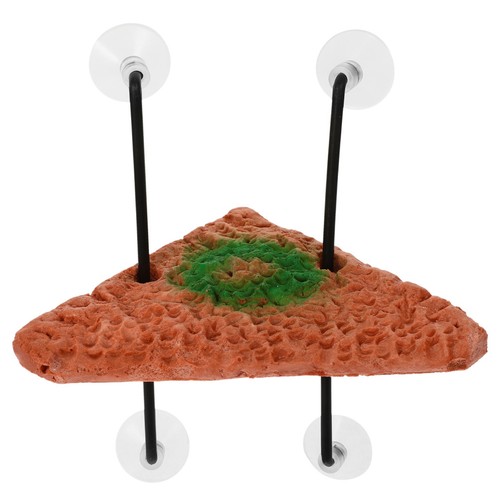 Piattaforma tartaruga basking - ,