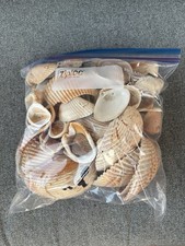 Borsa da gallone completa