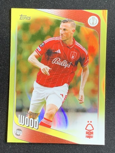 Chris wood 2025 - wood, ucc