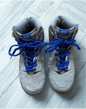 Nike SB Dunk High Pro Iron
