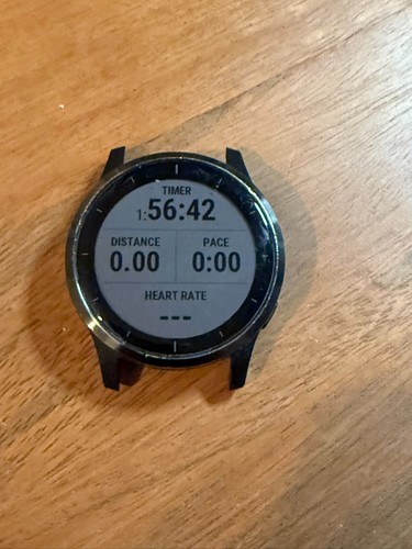 Smartwatch garmin vivoactive - smartwatch,