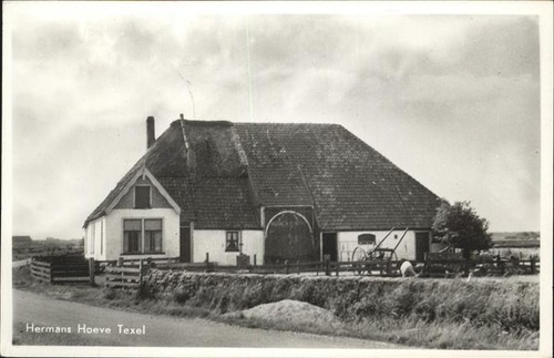 Cappa texel hermans - texel,