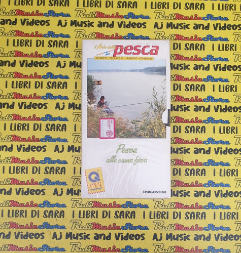 Vhs cartonata arte - cartonata, l'arte