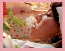 figurina Flor 3: Speciale Come