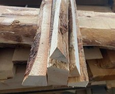 5 X Pino Baumkante Bordo