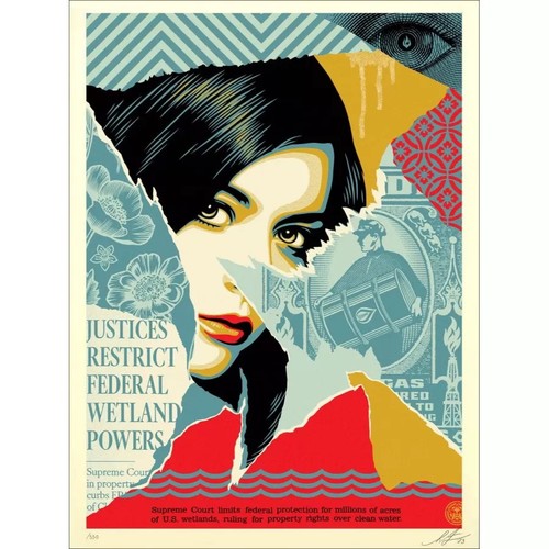 Shepard fairey - shepard,