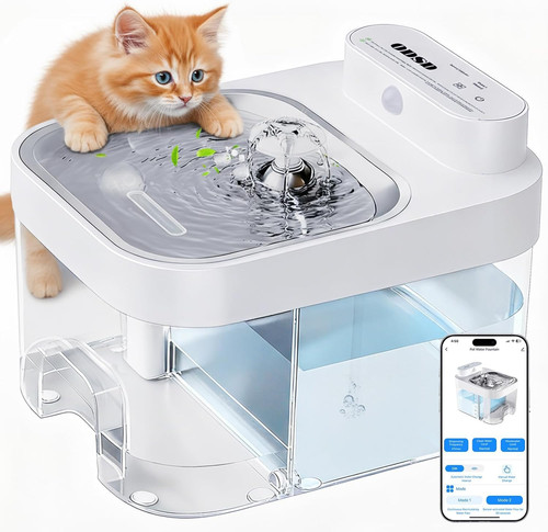 Fontana acqua gatto - acqua, app