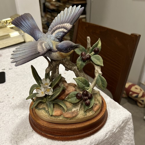 Parula warbler akita porcelain - parula,