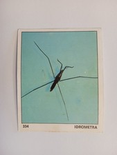 FIGURINA IL MONDO DEGLI