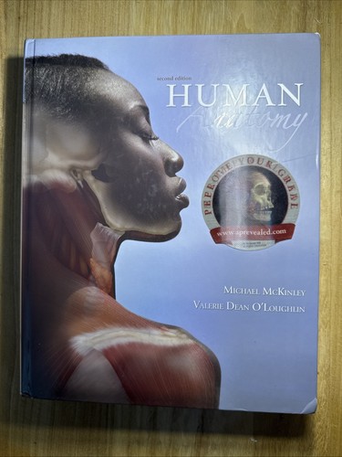 Human anatomy michael - human, mckinley