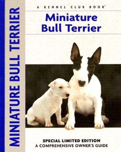 Miniature bull terrier - miniature,