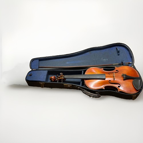 Violino frank devoney - frank,
