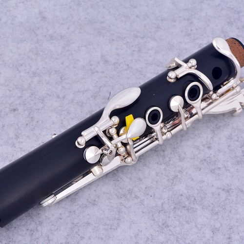 Clarinetto professionale - clarinetto, bb
