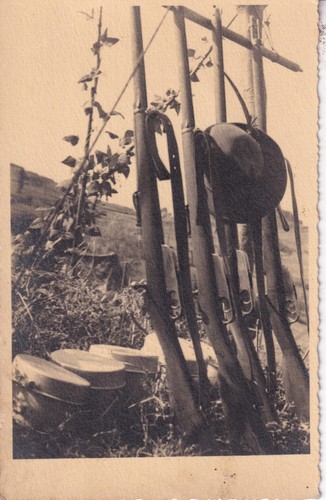 Ww2 foto cartolina alpini - ww2,