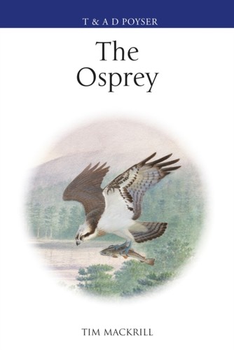 The osprey tim - the,