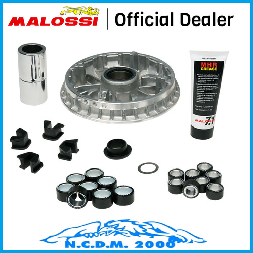 Variatore malossi multivar - variatore,