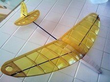 BugX DLG Glider 30" apertura