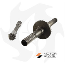 Coppia conica Pignone + Corona